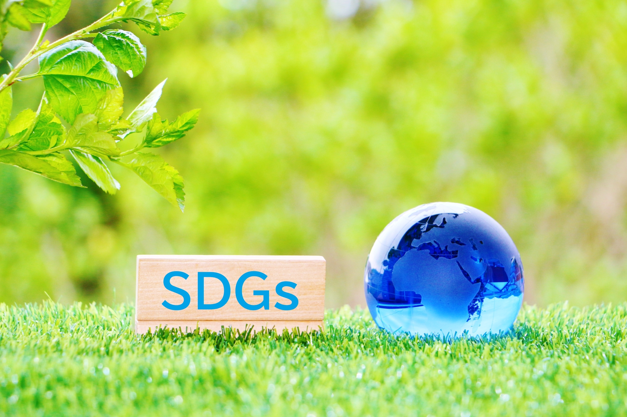 SDGｓ